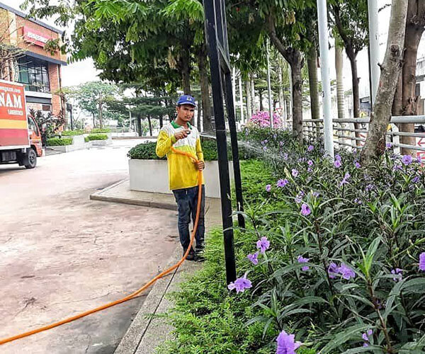 gardening and landscape - plant watering