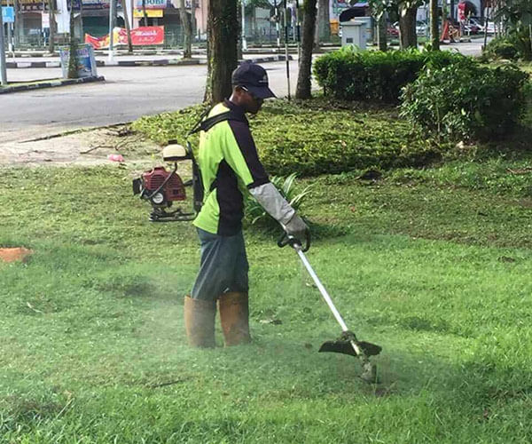 gardening and landscape - lawn mowing