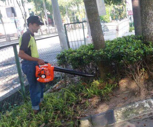 cleaning services johor - fall leaves removal